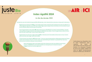 Index égalité 2024